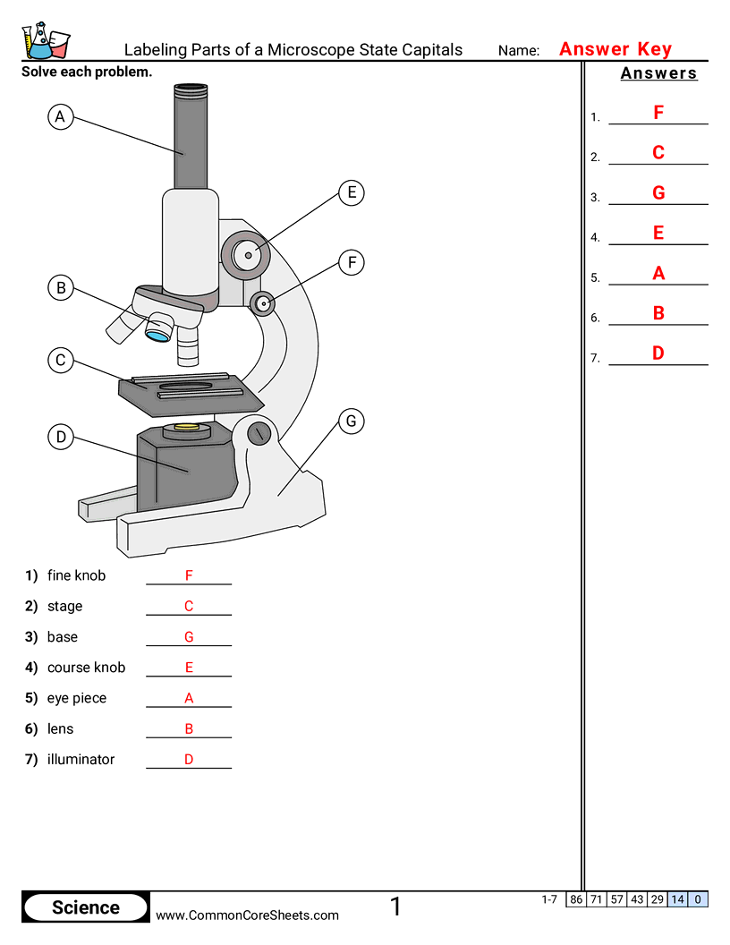 Science Tools Worksheets - Labeling Parts of a Microscope worksheet