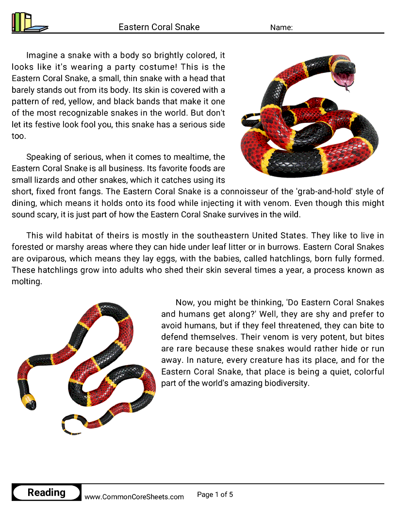 Reading Comprehension Reptiles - eastern-coral-snake worksheet