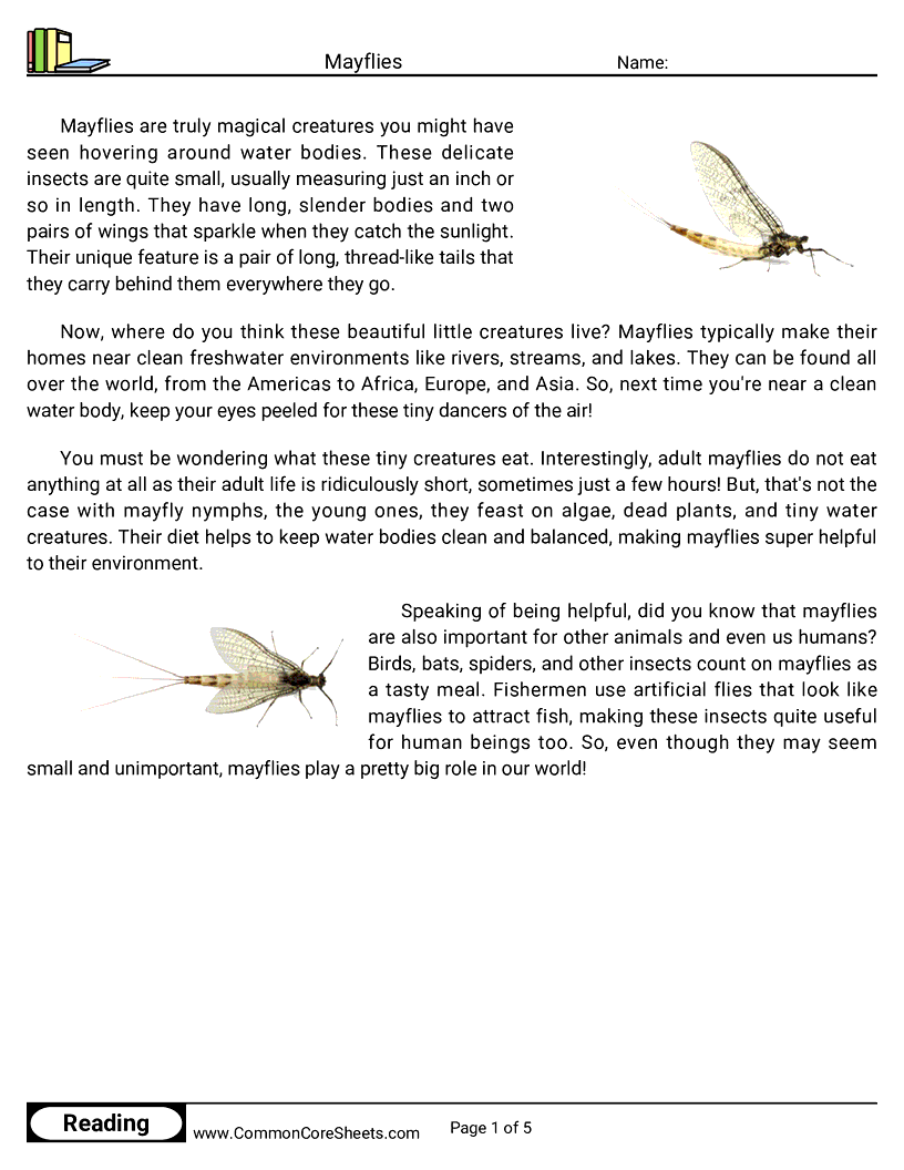 Reading Comprehension Insects Worksheets - mayflies worksheet