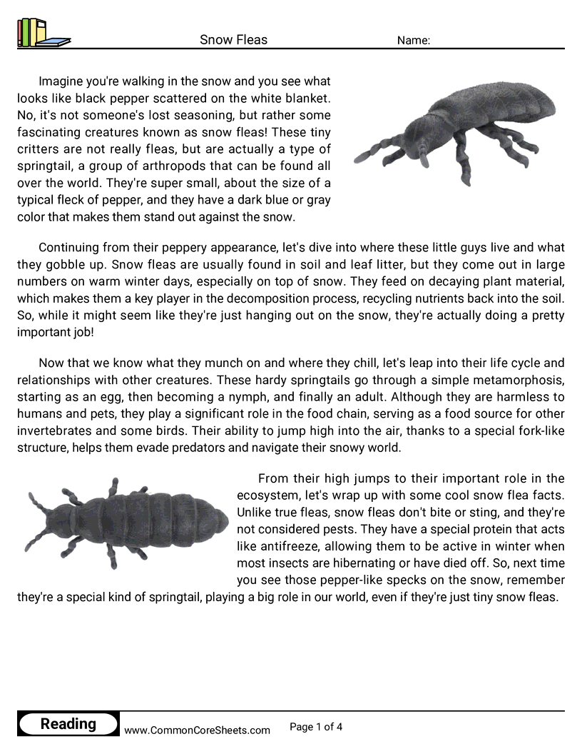 Reading Comprehension Insects Worksheets - snow-fleas worksheet