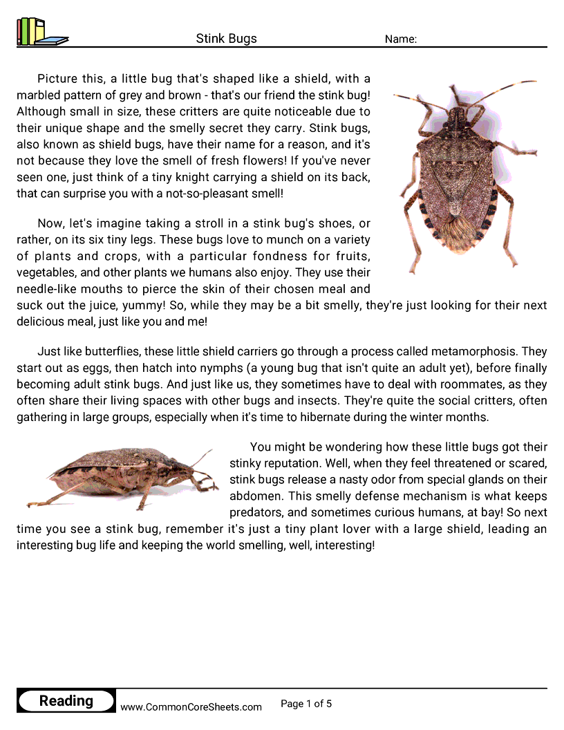 Reading Comprehension Insects Worksheets - stink-bugs worksheet