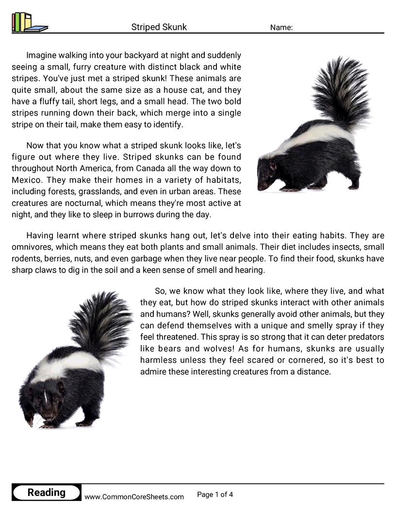Reading Comprehension Mammals - striped-skunk worksheet