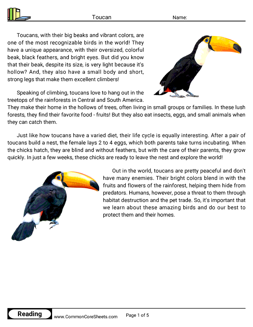 Reading Comprehension Birds Worksheets - toucan worksheet
