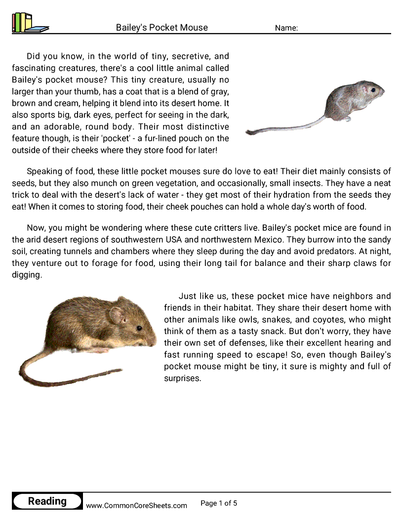 Reading Comprehension Mammals - baileys-pocket-mouse worksheet