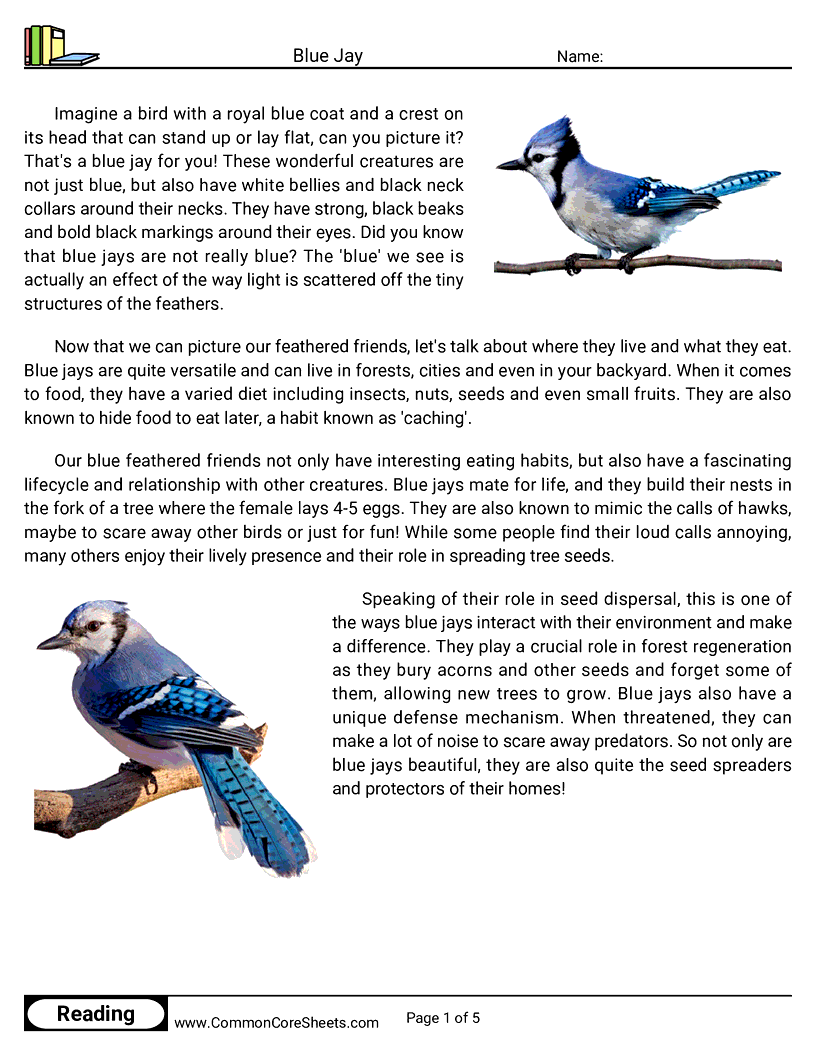 Reading Comprehension Birds Worksheets - blue-jay worksheet