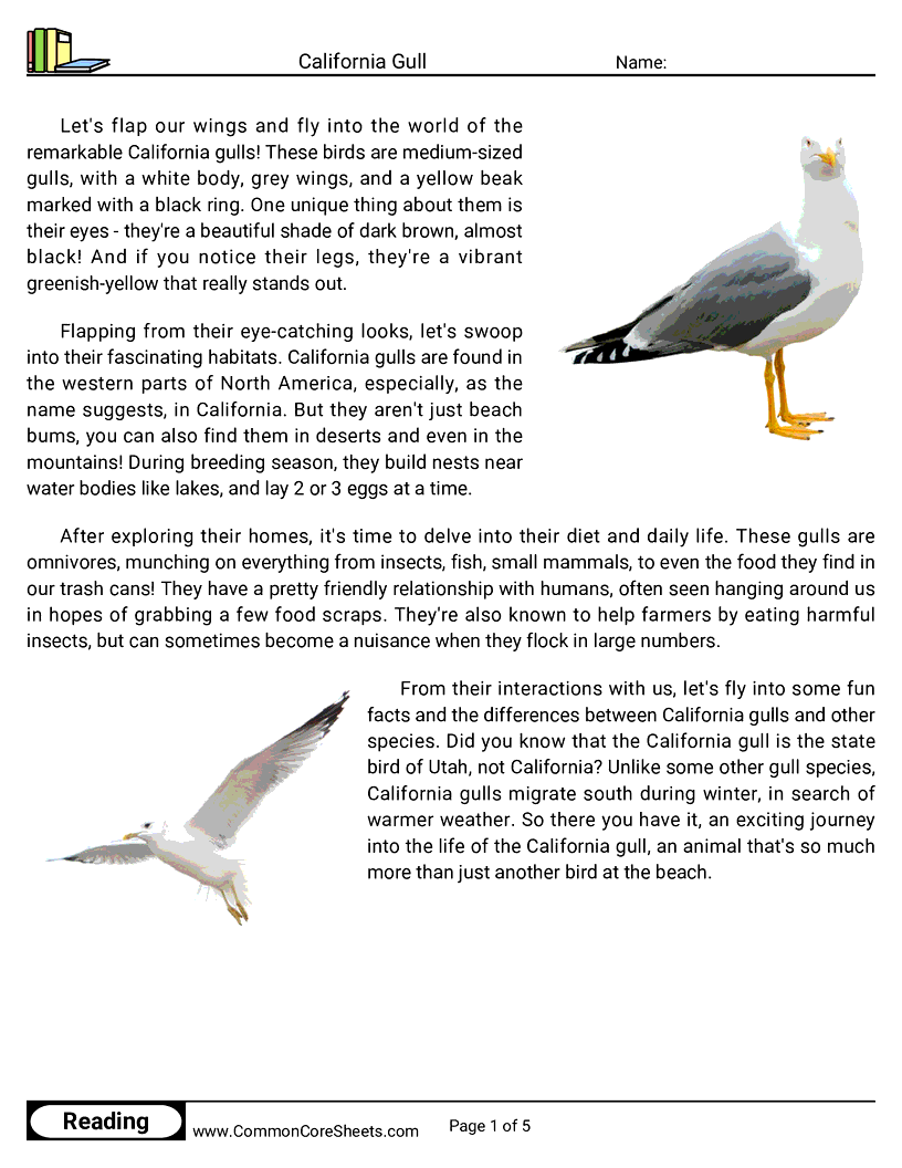 Reading Comprehension Birds Worksheets - california-gull worksheet