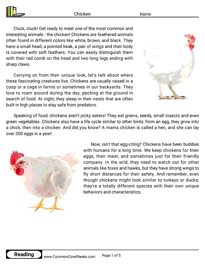 Reading Comprehension Birds Worksheets - chicken worksheet