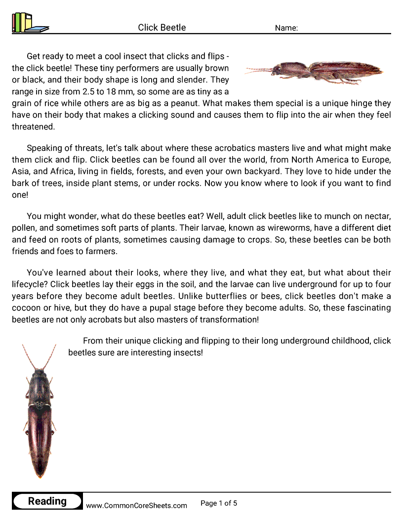 Reading Comprehension Insects Worksheets - click-beetle worksheet