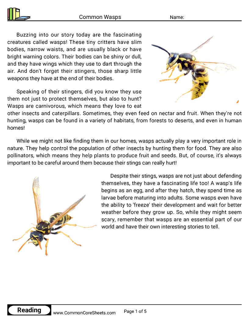 Reading Comprehension Insects Worksheets - common-wasps worksheet