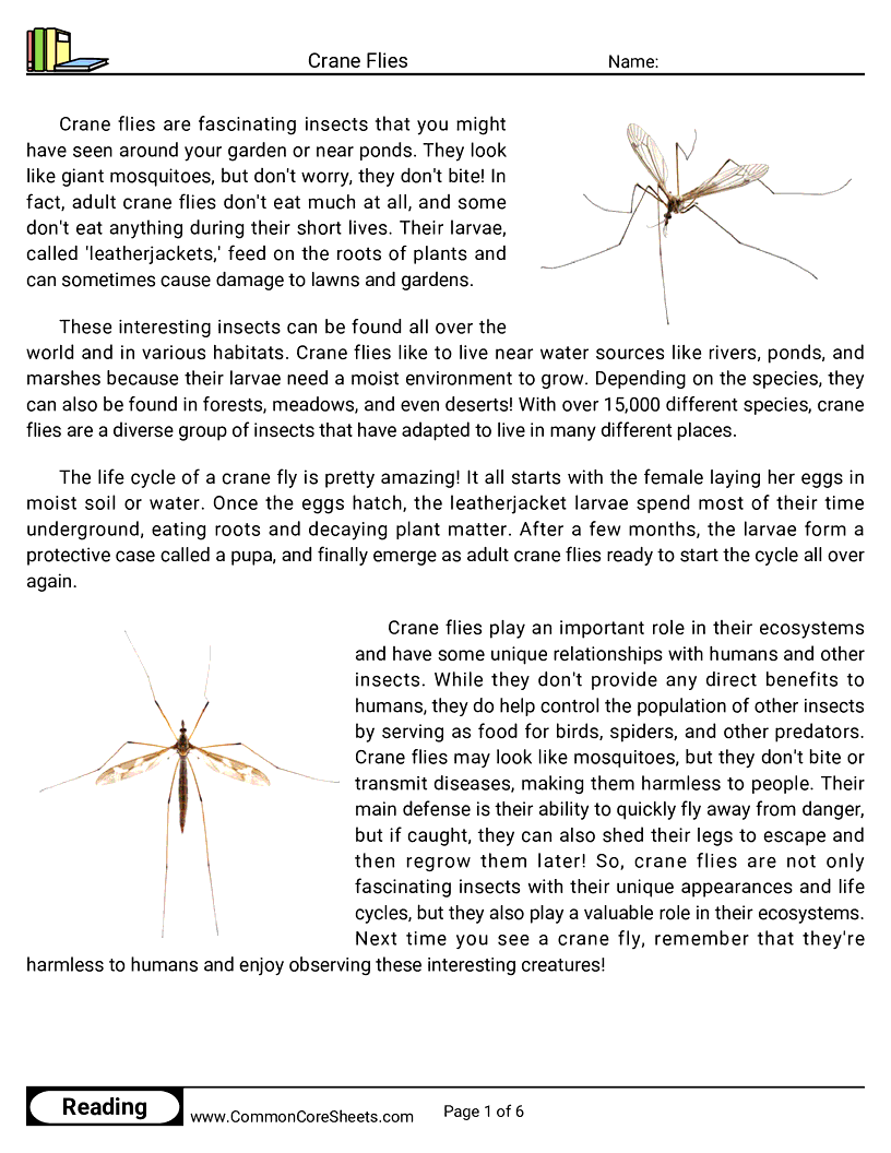 Reading Comprehension Insects Worksheets - crane-flies worksheet